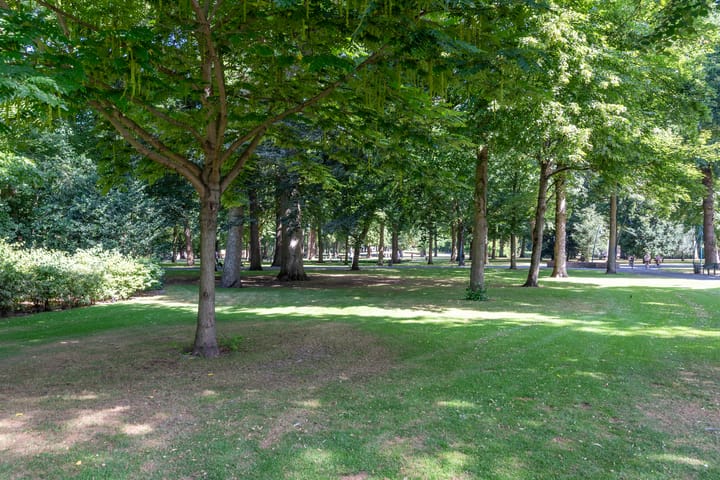 Foto 38 van Catharinastraat 17-C