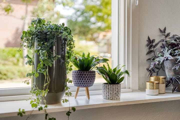 Foto 9 van Burgemeester Jacobsstraat 58