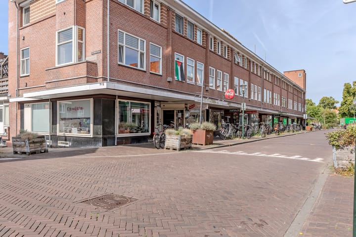 Foto 48 van Apolloplantsoen 17