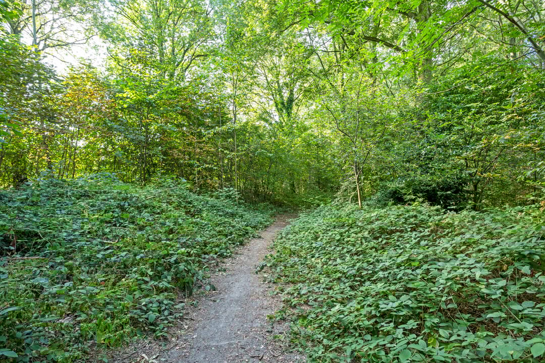 Foto 46 van Bremstraat 41