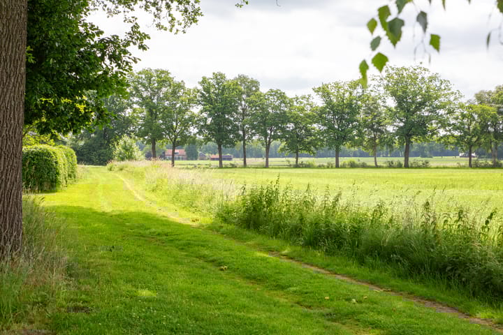 Foto 55 van Holthuisweg 17