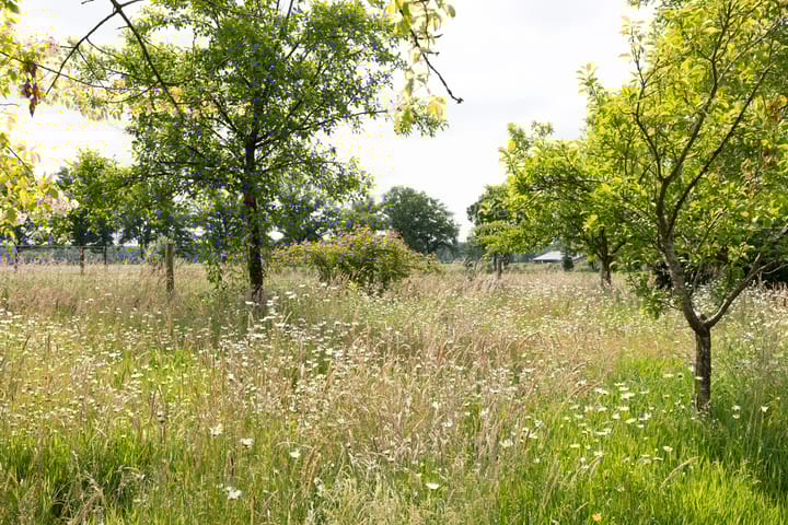 Foto 56 van Holthuisweg 17