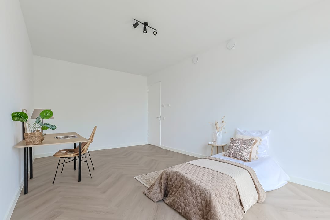 Foto 47 van Steekterweg 254