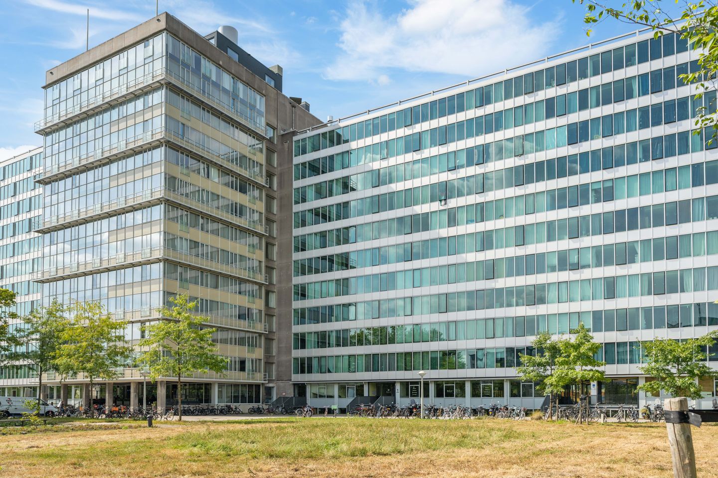 Photo 20 of Bos en Lommerplantsoen 27-C