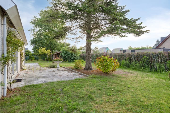 Foto 3 van Roggebos 1