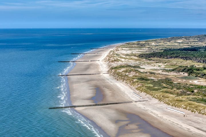 Foto 5 van Roggebos 1