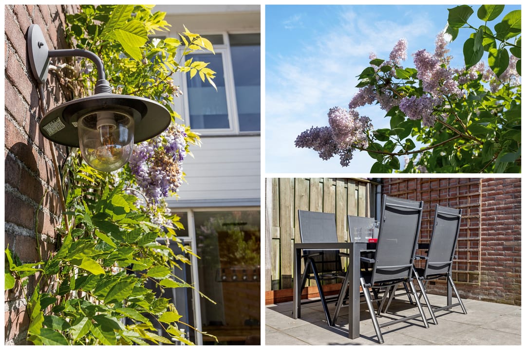 Foto 41 van Morelstraat 16