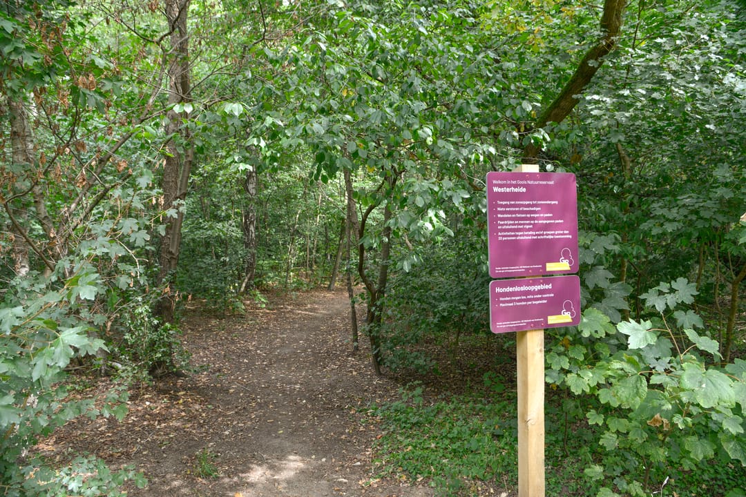 Foto 11 van Erfgooiersstraat 598