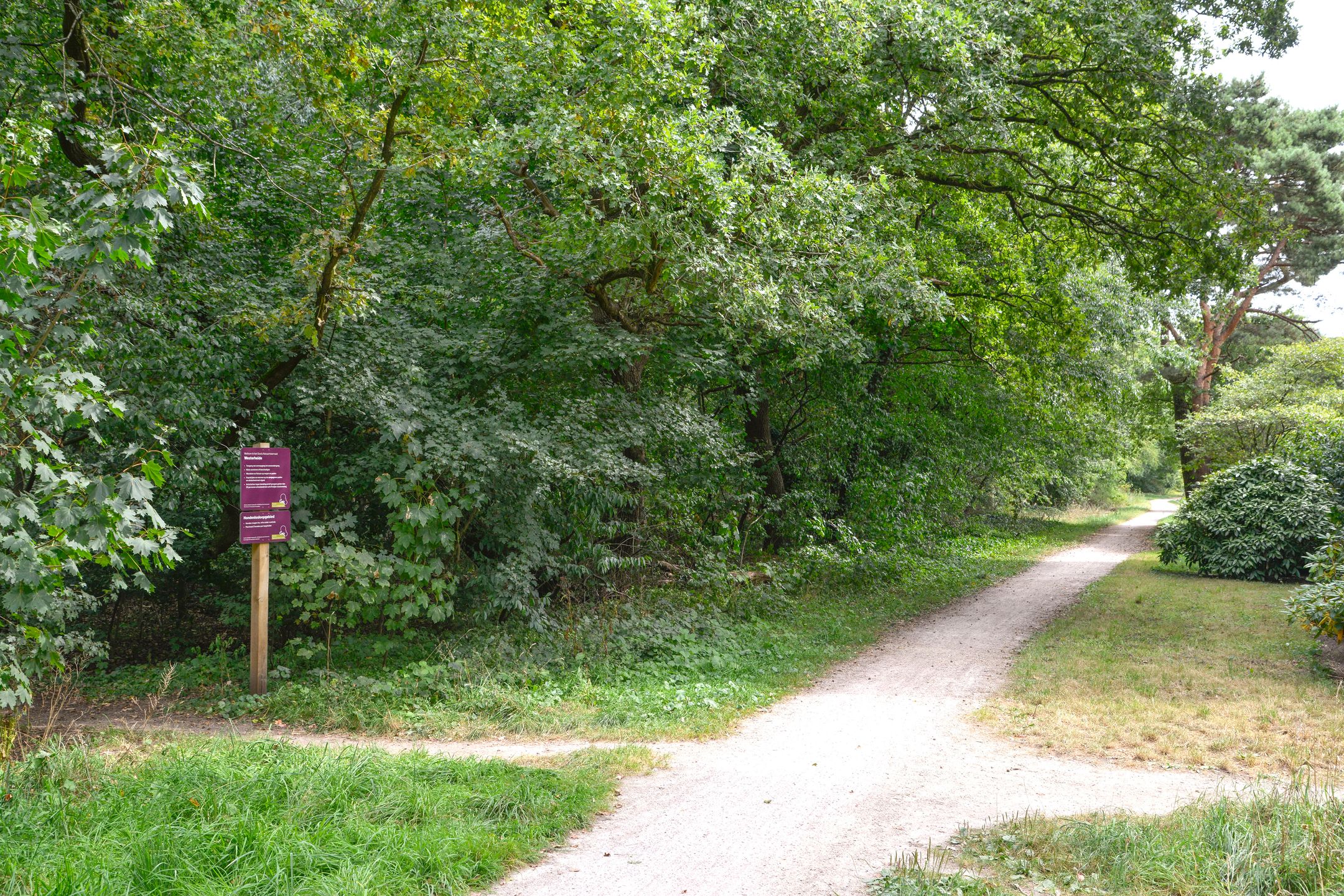 Foto 12 van Erfgooiersstraat 598