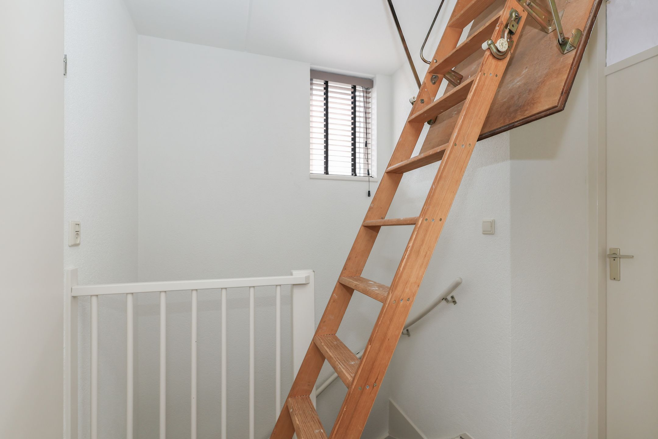 Foto 42 van Kruisbessenstraat 25