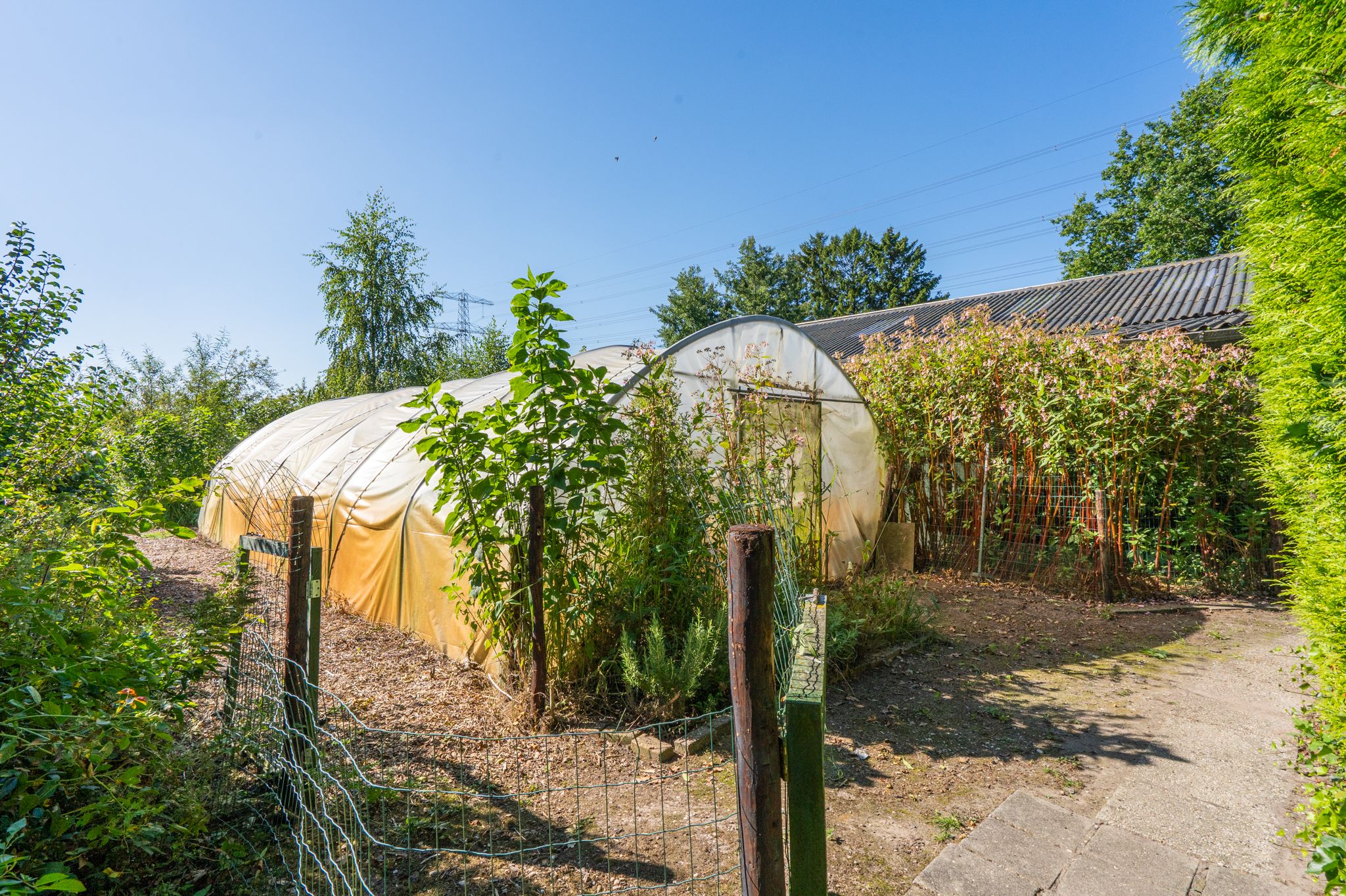 Foto 60 van Jacob de Weerdstraat F 68