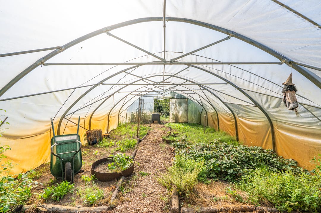 Foto 61 van Jacob de Weerdstraat F 68