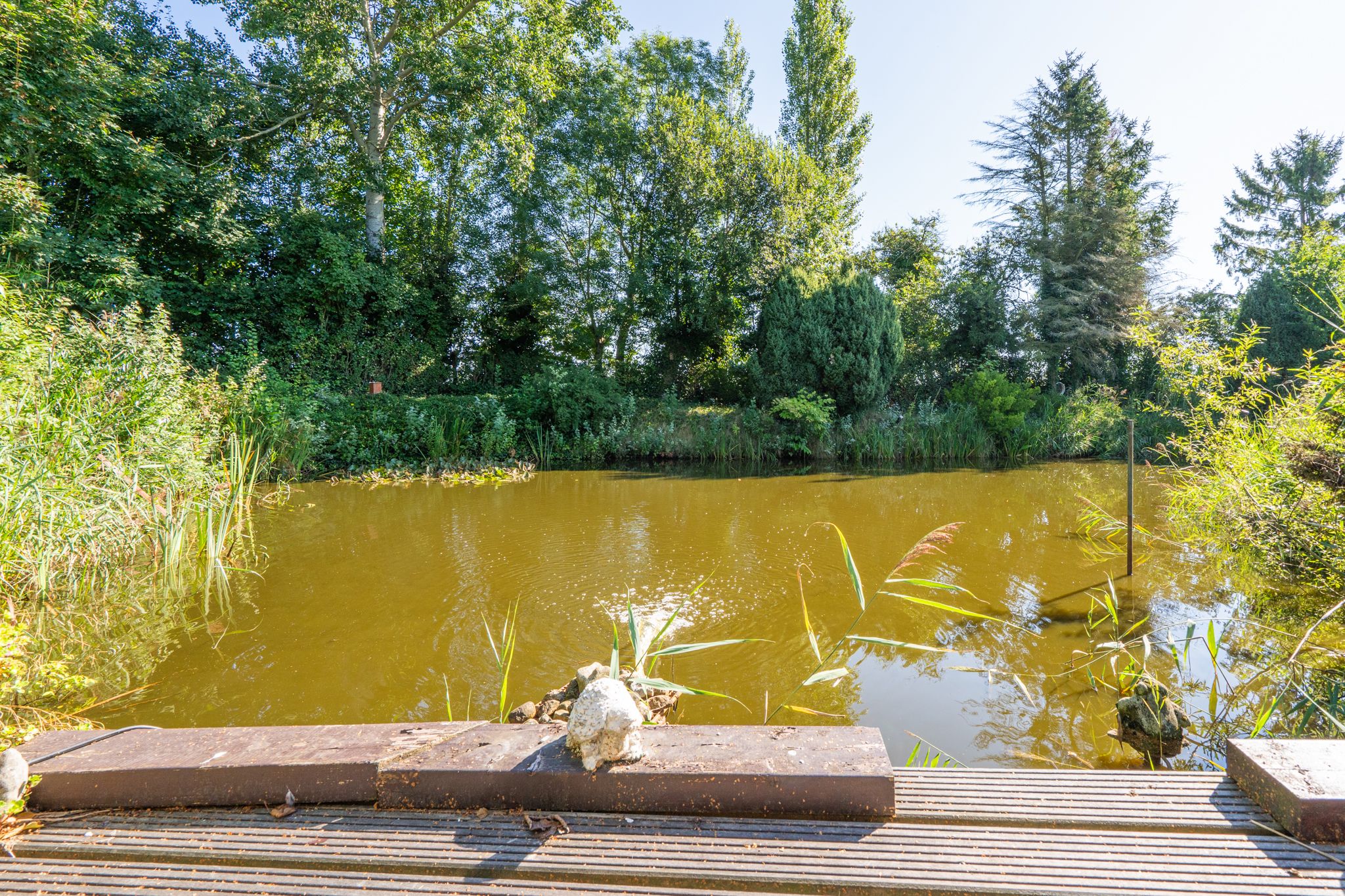 Foto 63 van Jacob de Weerdstraat F 68