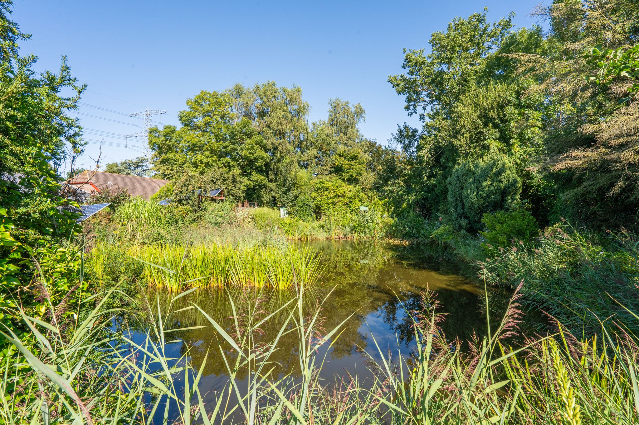 Foto 69 van Jacob de Weerdstraat F 68