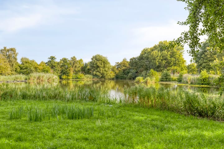 Foto 37 van Dintelstraat 37