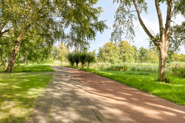 Foto 39 van Dintelstraat 37