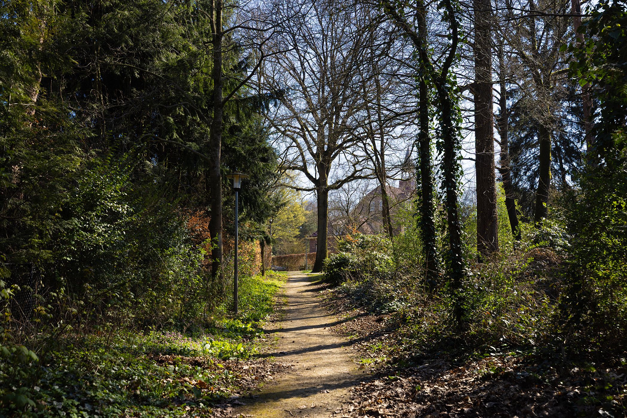 Foto 6 van Sonnevancklaan 14