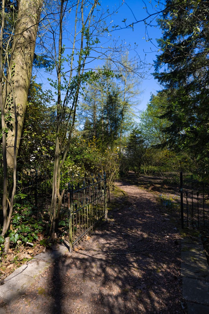 Foto 7 van Sonnevancklaan 14