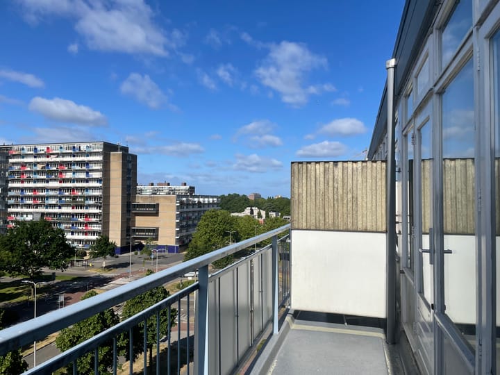 Photo 19 of Lupinesingel 444