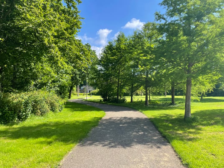 Photo 26 of Lupinesingel 444