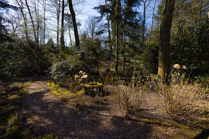 Foto 58 van Sonnevancklaan 14