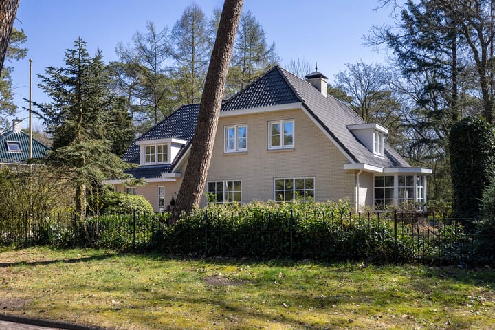 Foto 66 van Sonnevancklaan 14