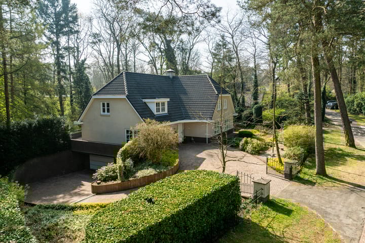 Foto 70 van Sonnevancklaan 14