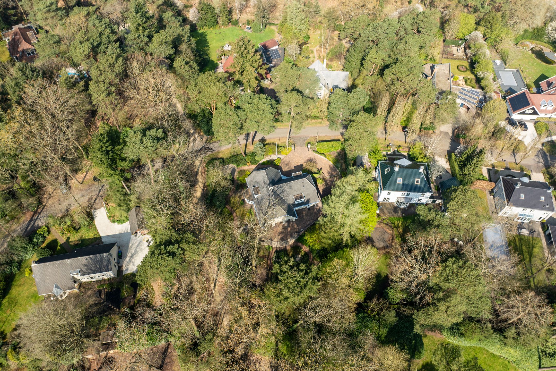 Foto 75 van Sonnevancklaan 14