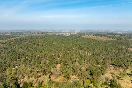 Sonnevancklaan 14 tertiary image