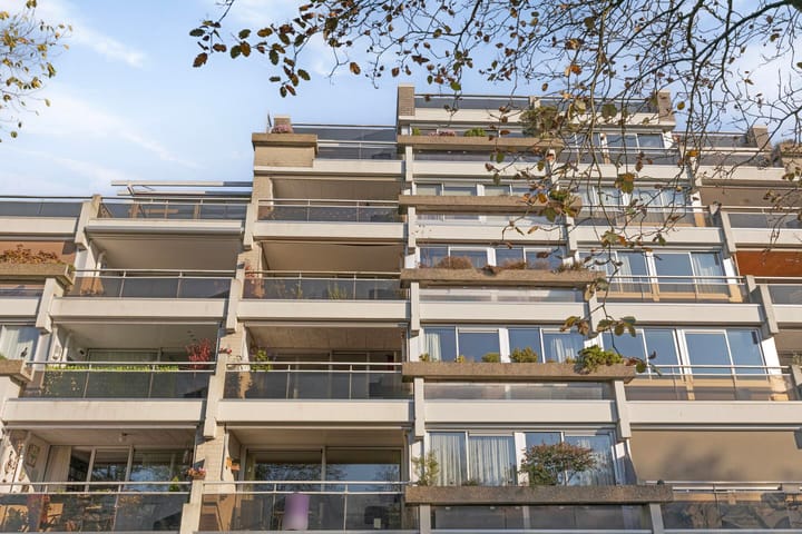 Foto 39 van Ravellaan 9