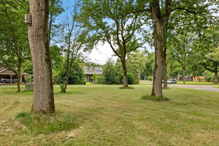 Foto 64 van Banderschulte 9