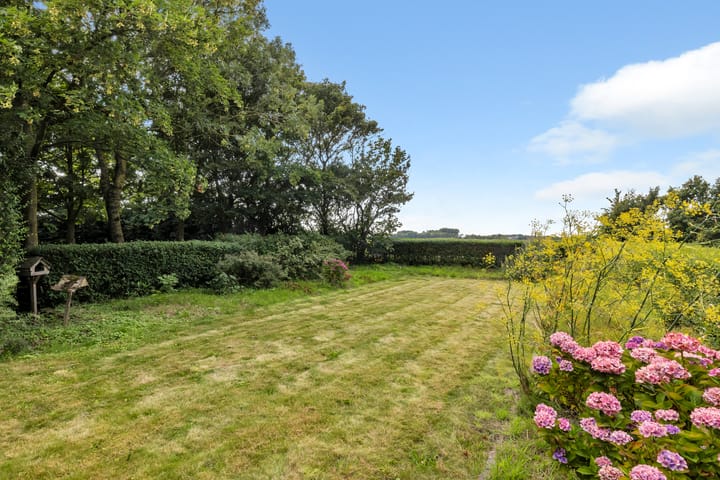 Foto 5 van Ruigeweg 30