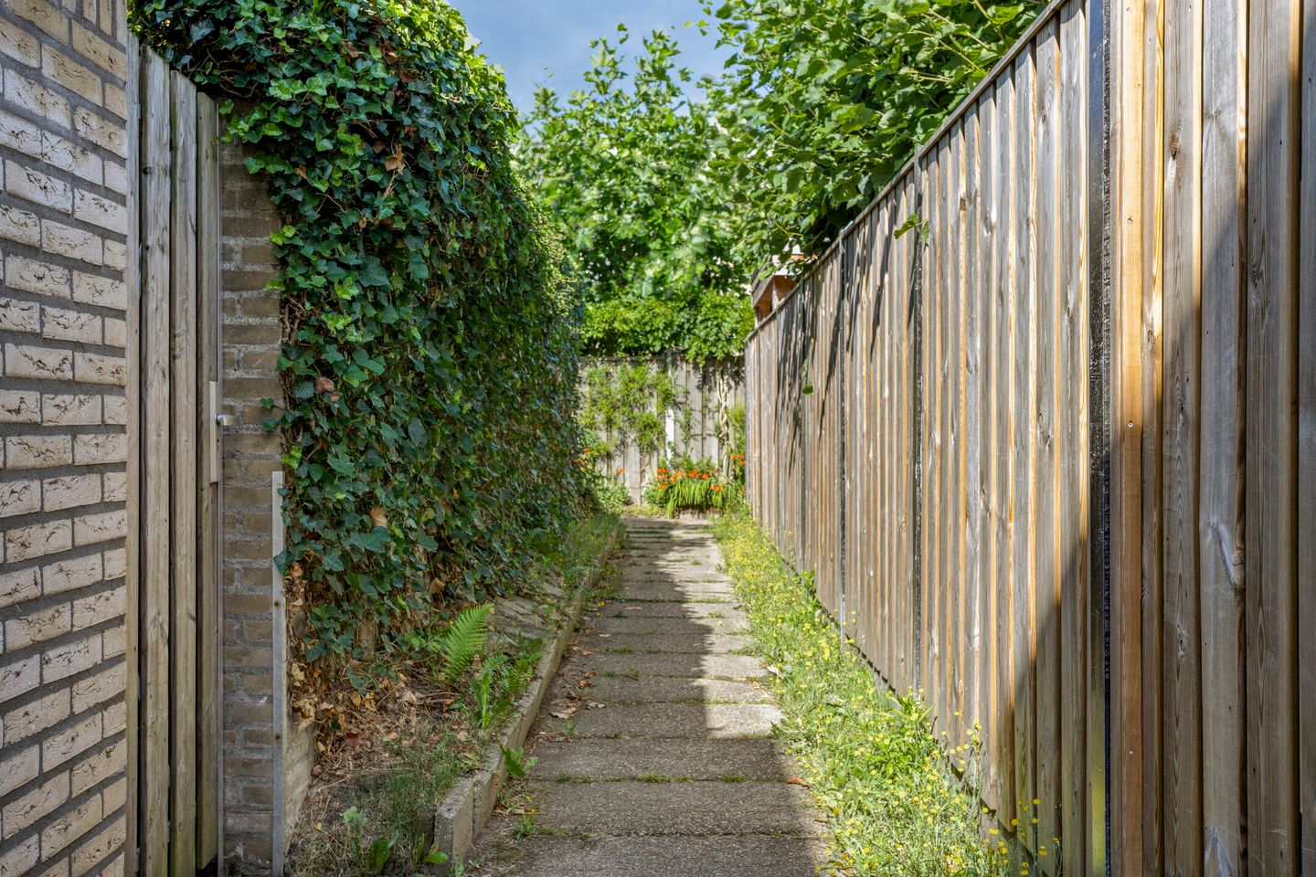 Photo 44 of Schepenenstraat 15