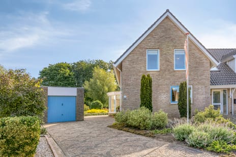 undefined main image