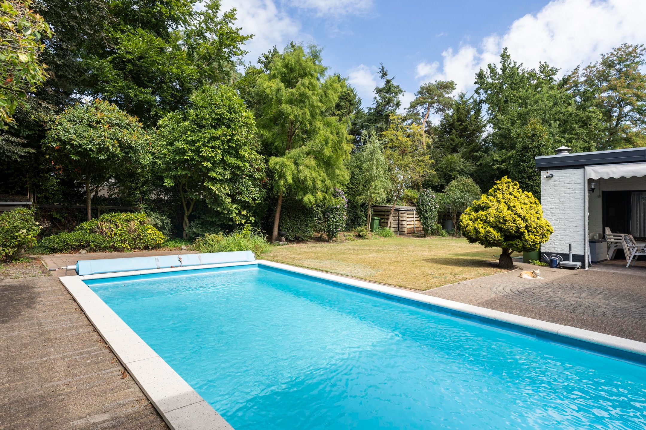 Photo 39 of Kromveld 5