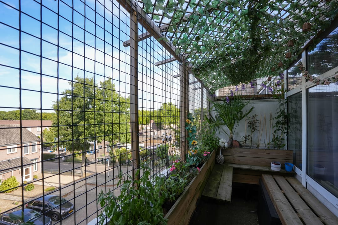 Foto 11 van Zeswegenlaan 235