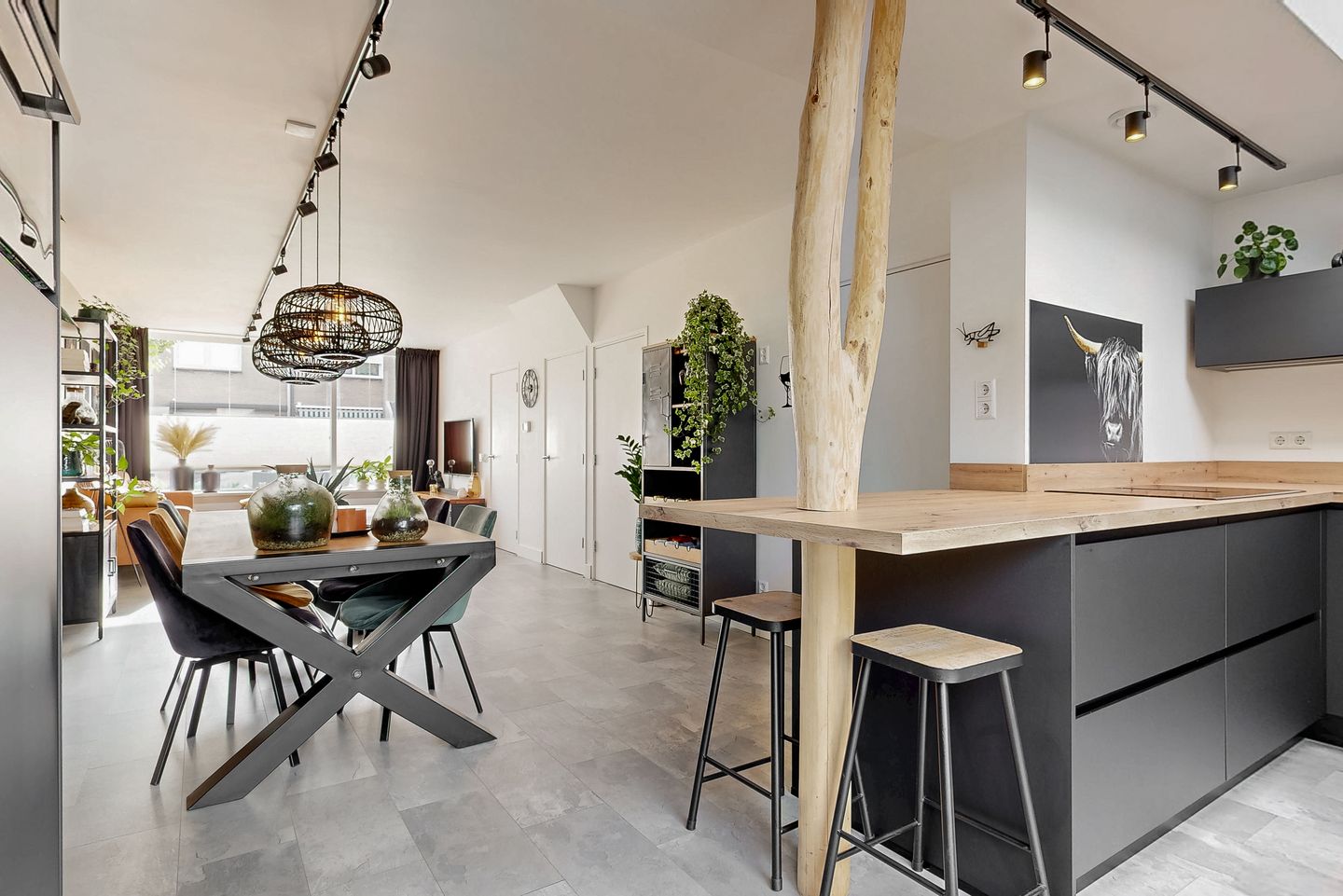 Foto 10 van Paulus Potterstraat 7