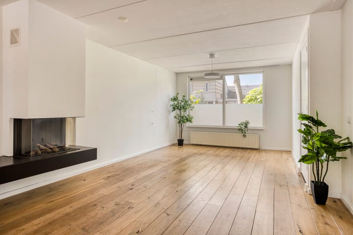 Foto 2 van Rivierensingel 305