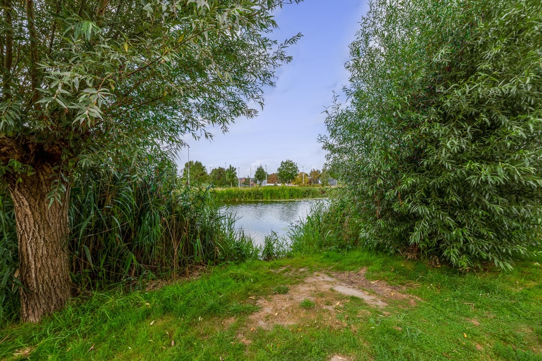 Photo 7 of Burgemeester Trooststraat 117