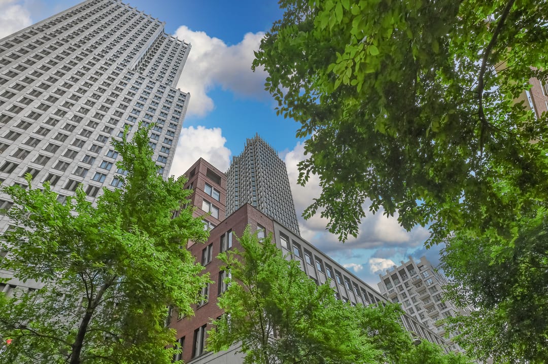 Foto 2 van Lage Zand 414