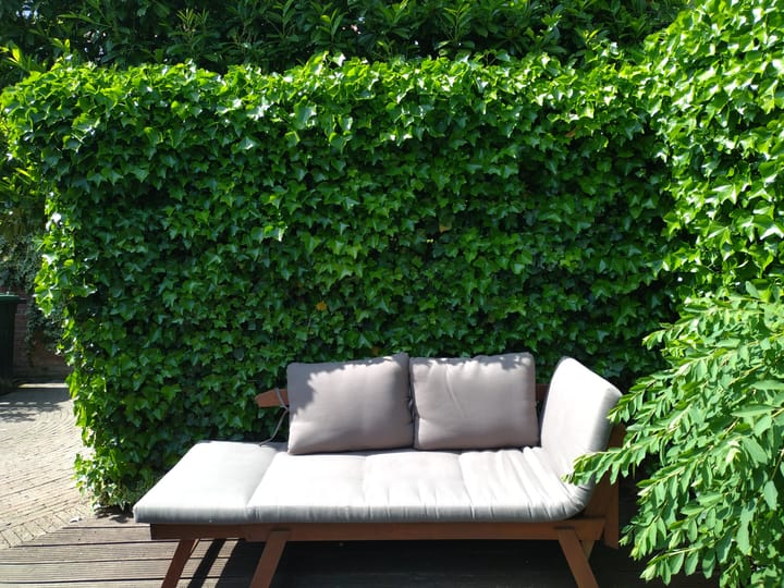 Foto 34 van Burgemeester Doornlaan 24