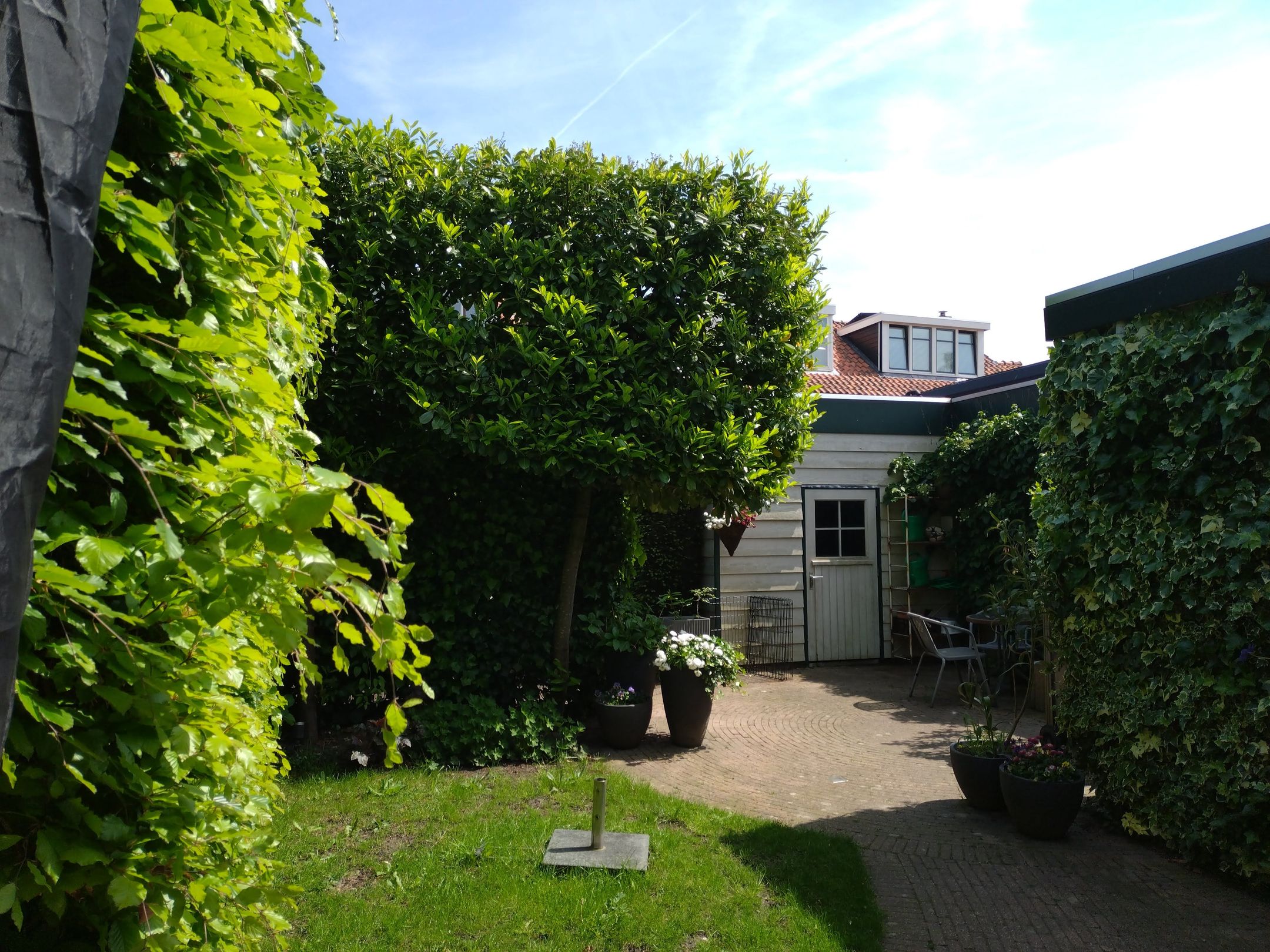 Foto 39 van Burgemeester Doornlaan 24