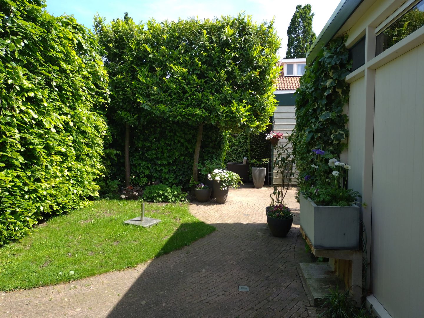 Foto 40 van Burgemeester Doornlaan 24