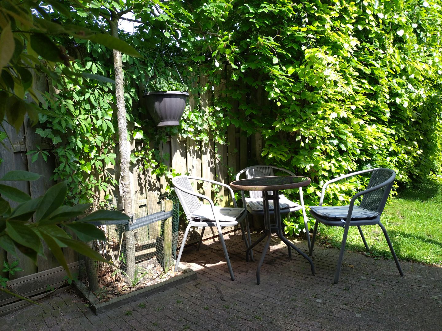 Foto 44 van Burgemeester Doornlaan 24