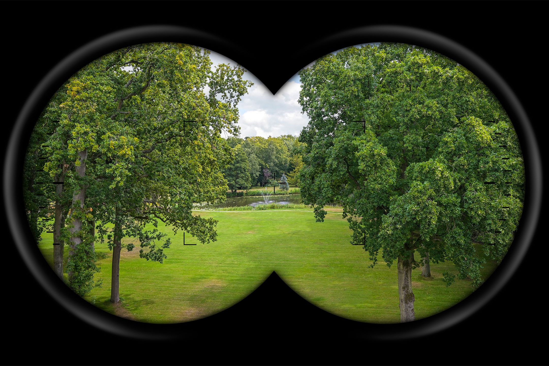 Foto 3 van Stoeplaan 11-F25