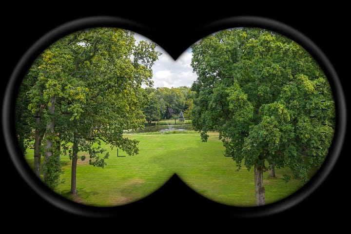 Foto 3 van Stoeplaan 11-F25