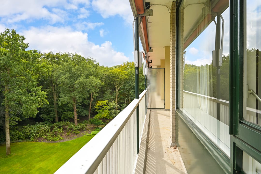 Foto 11 van Stoeplaan 11-F25