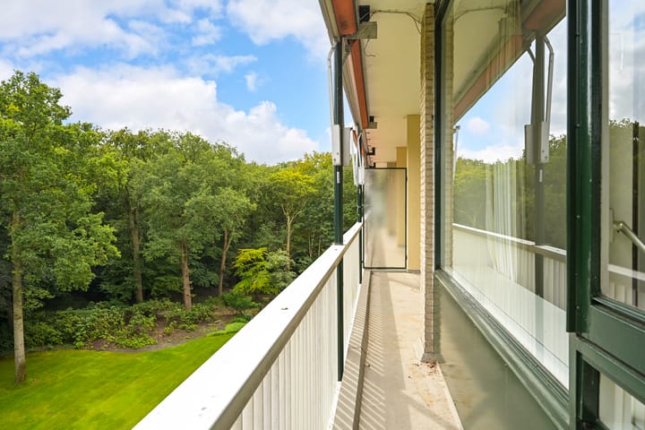 Foto 11 van Stoeplaan 11-F25