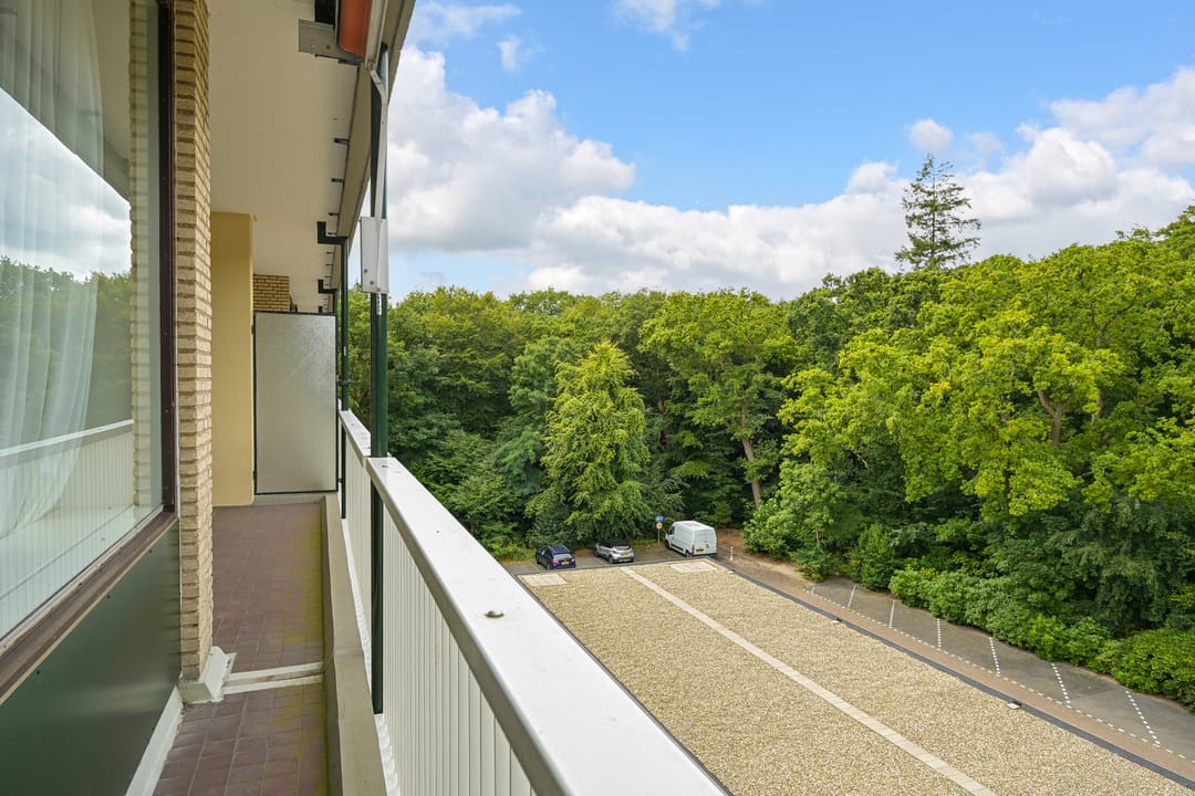 Foto 16 van Stoeplaan 11-F25