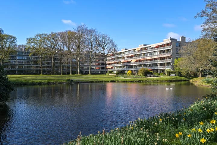 Foto 22 van Stoeplaan 11-F25